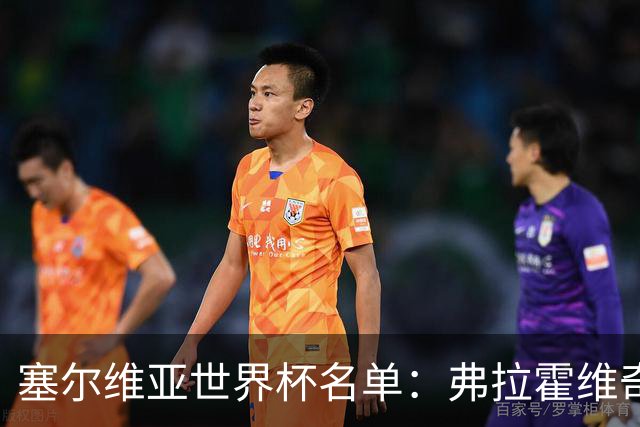 塞尔维亚世界杯名单：弗拉霍维奇领衔 古德利在列